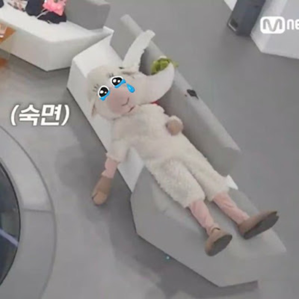 Meet your Posher, Vianey